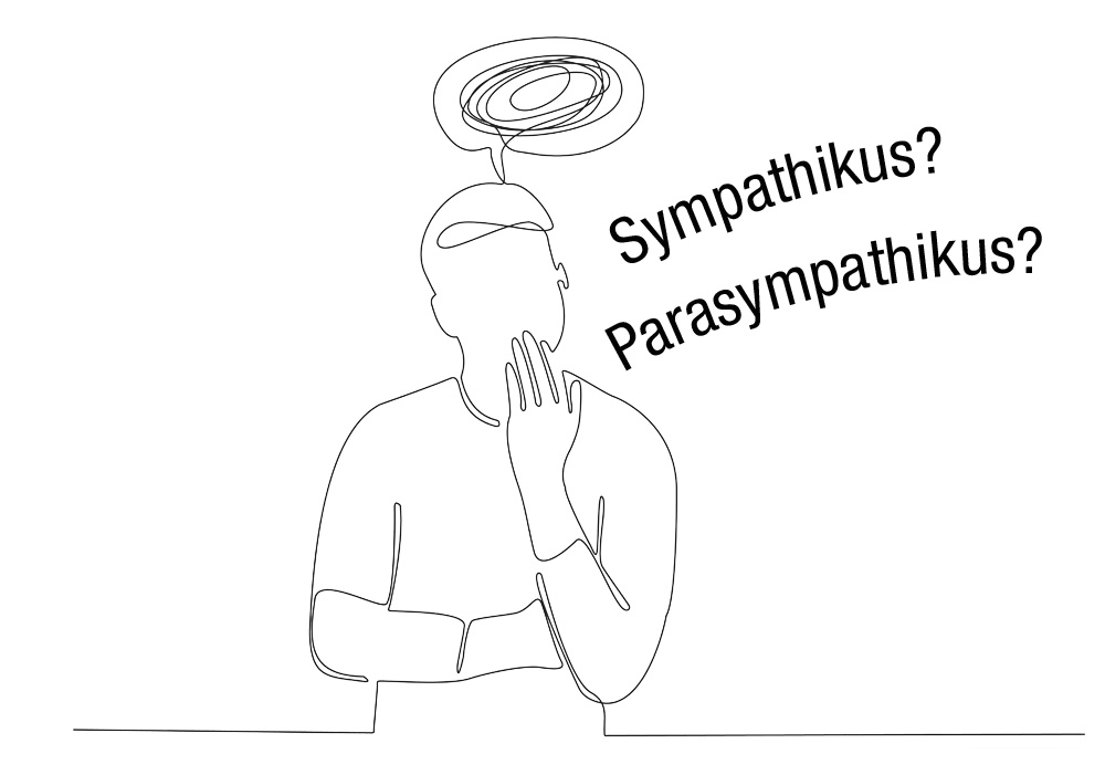 nervensystem4